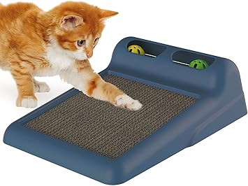 bubble backpacks for cats