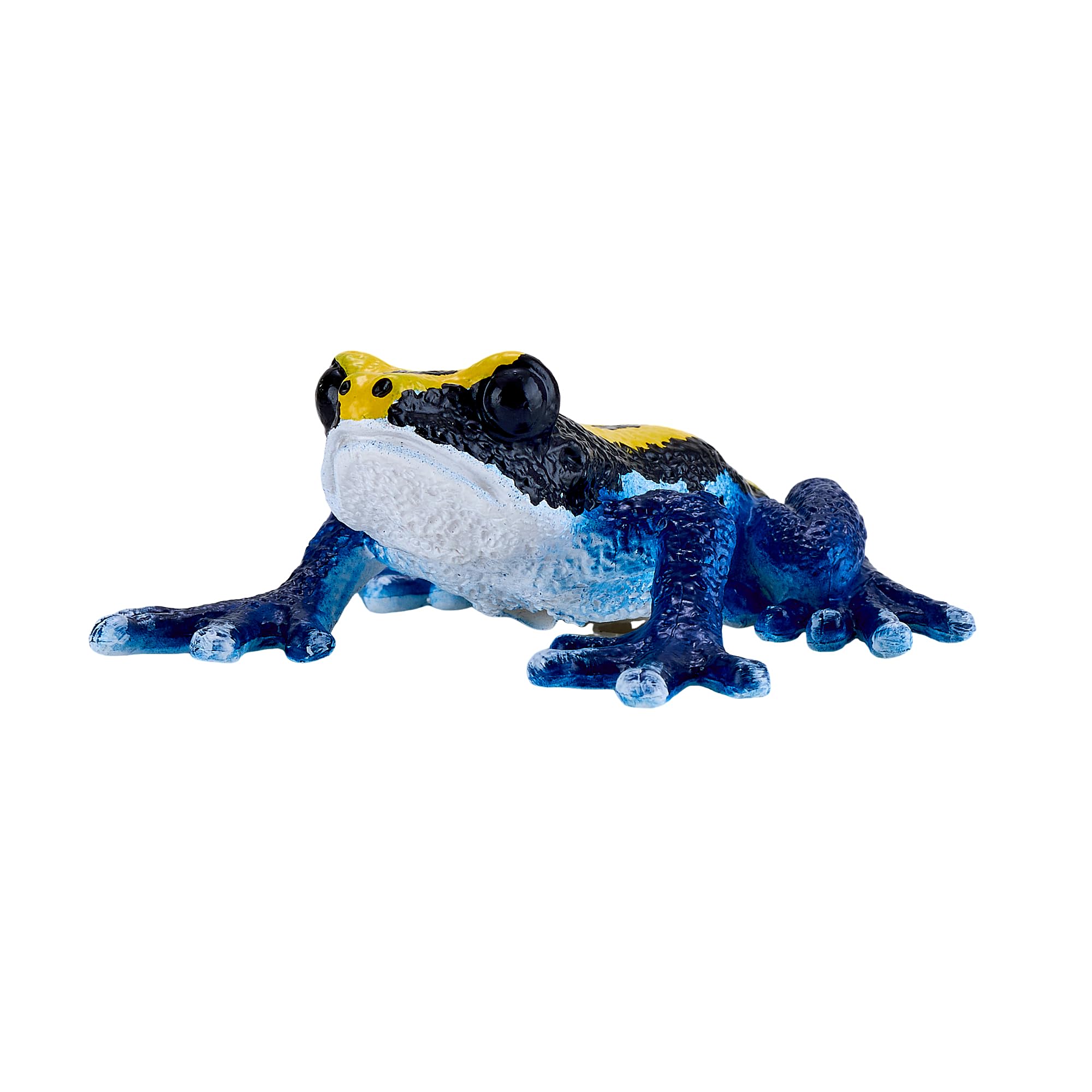 MOJO - Poison Dart Frog, Blue