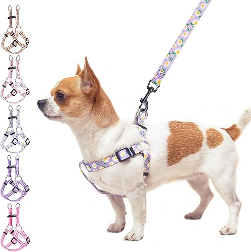 BEAUTYZOO Juego de arnés y correa para perro pequeño sin tirones, arnés de nailon ligero para cuello y pecho ajustable para perros, niñas y niños,
