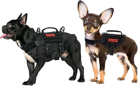 tactical dog harness small