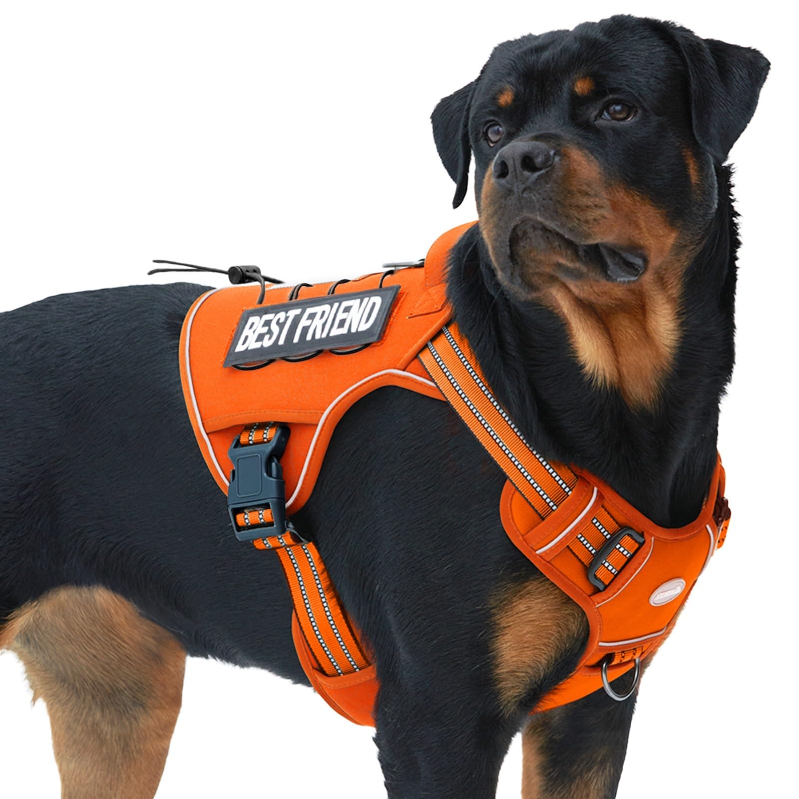 AUROTH Tactical Dog Harness for Large Dogs, Heavy Duty No Pull Pet Vest