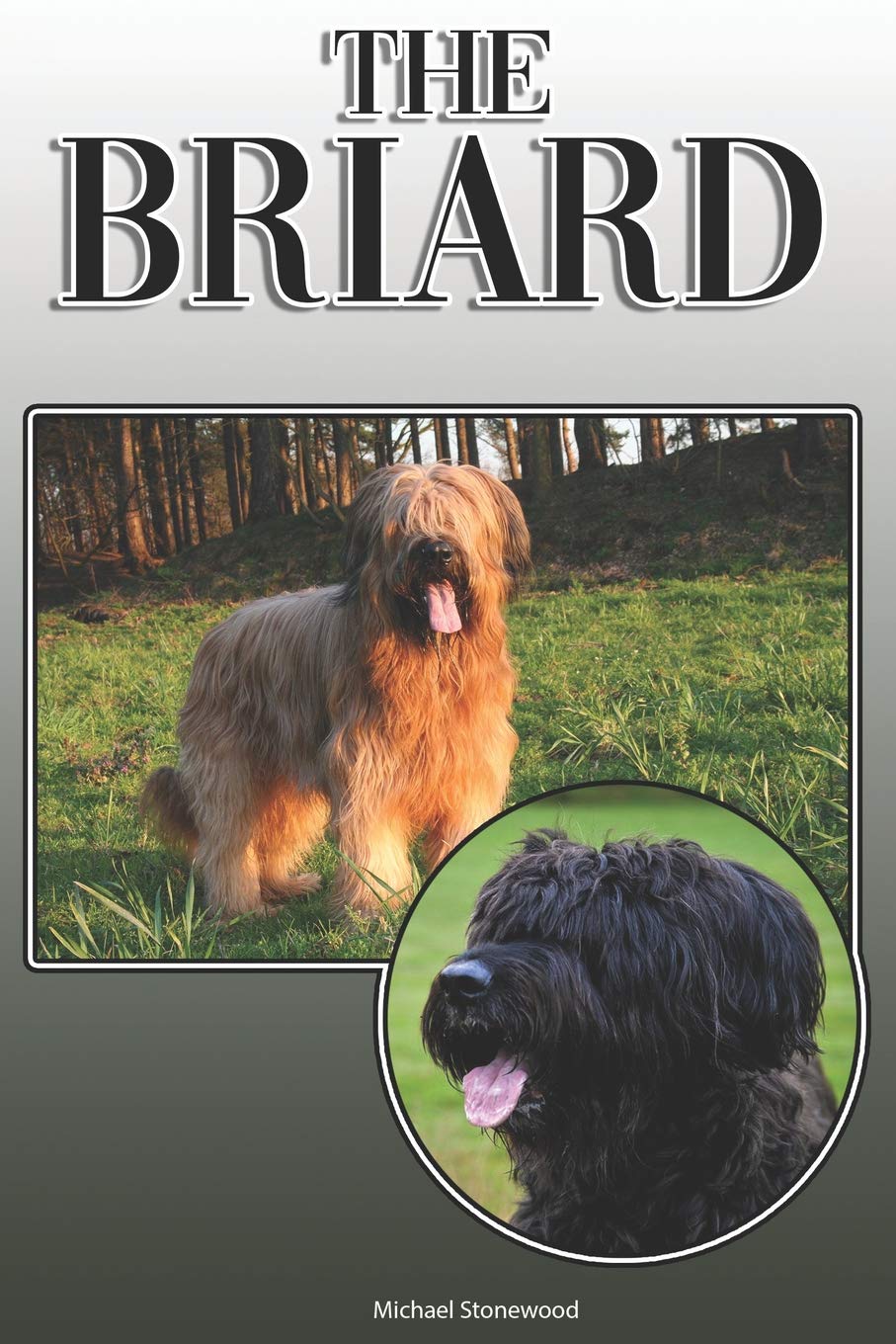 The Briard: A Complete and Comprehensive Owners Guide to: Buying, Owning, Health, Grooming, Training, Obedience, Understanding and Caring for Your Briard