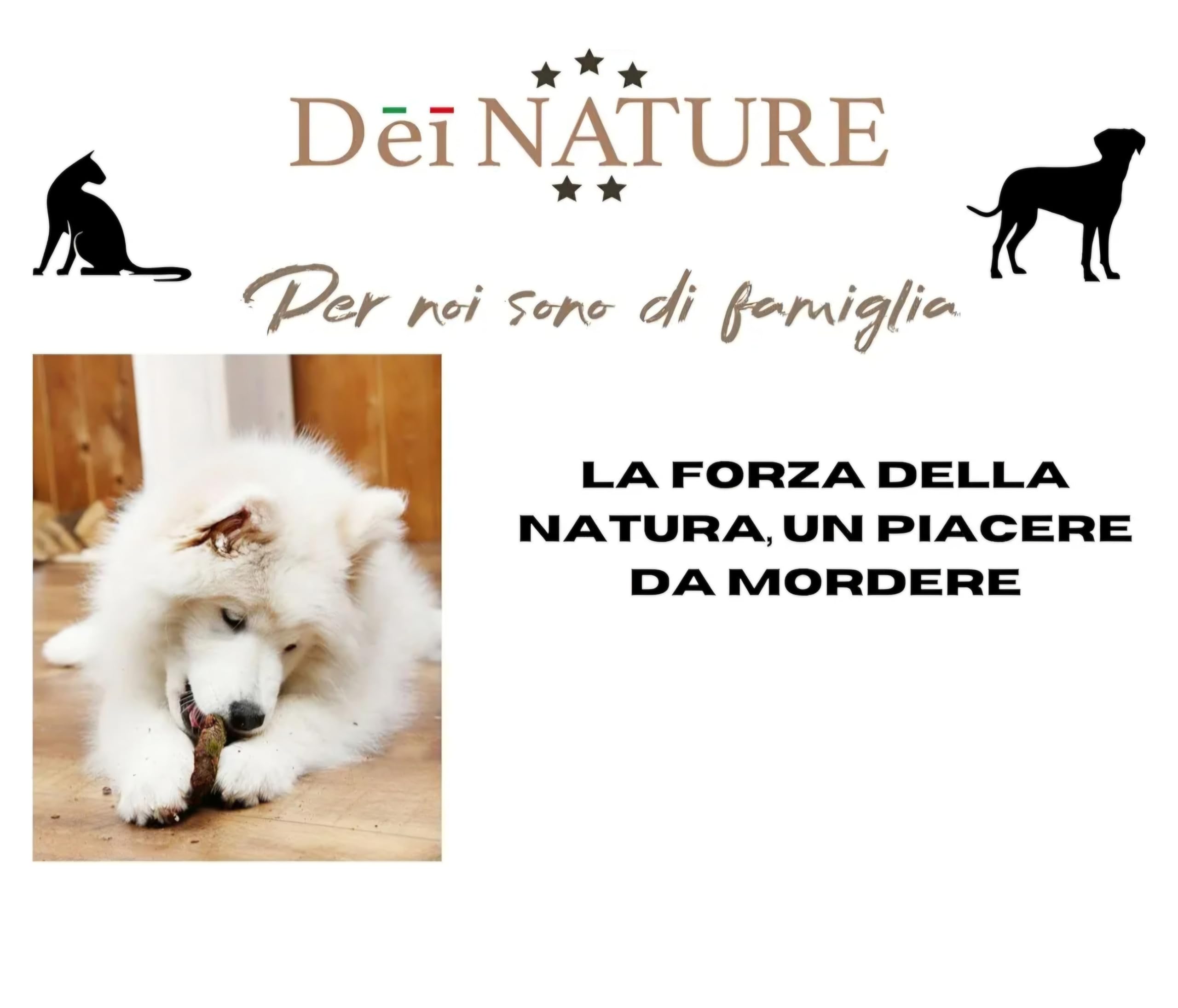 Orecchie di Bovino Essiccate, CONFEZIONE DA 12 UNITÀ Snack Naturale di Manzo per Cani, adatto dieta Barf