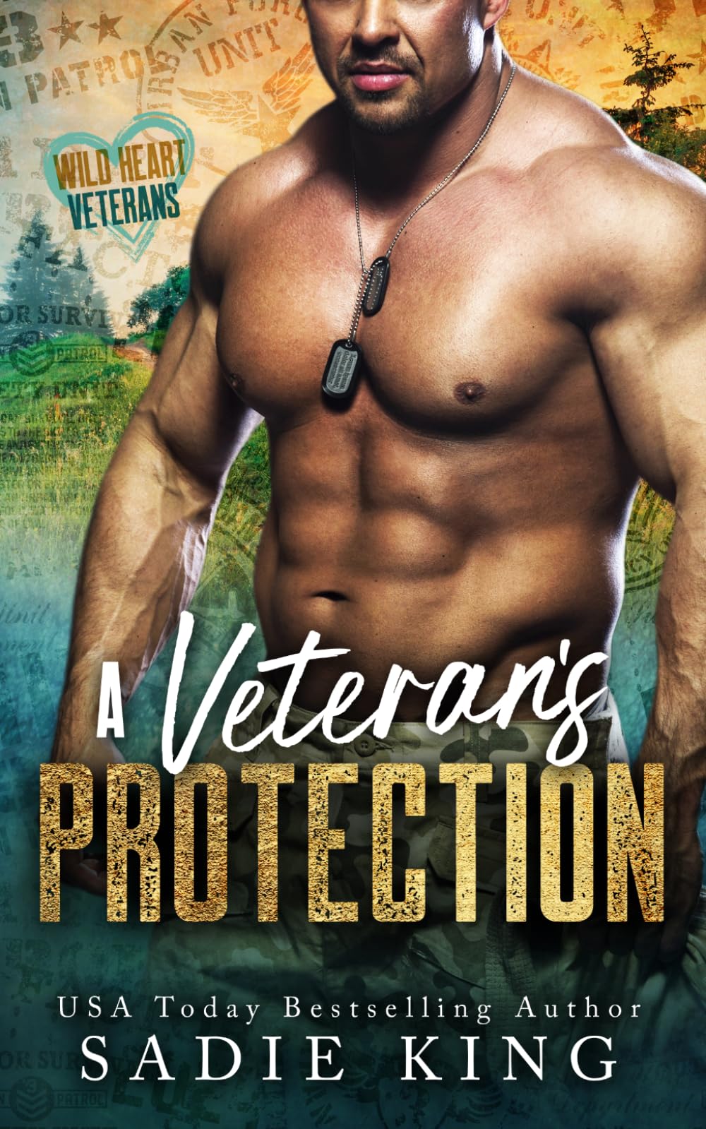 A Veteran's Protection: A small-town military romance (Wild Heart Veterans)