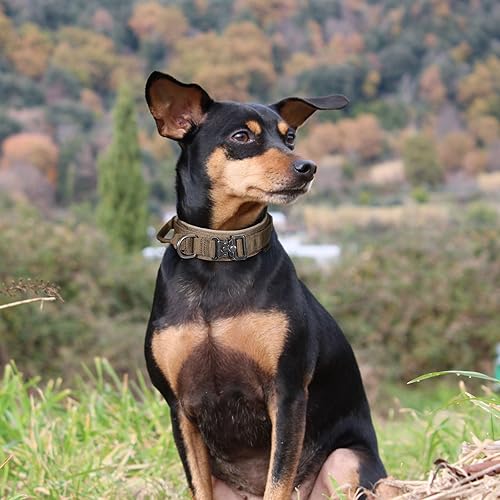 Miniatura 8 de EXCELLENT ELITE SPANKER - Collar táctico para perro de nailon ajustable, collar militar K9 resistente con hebilla de metal y con asa, Negro