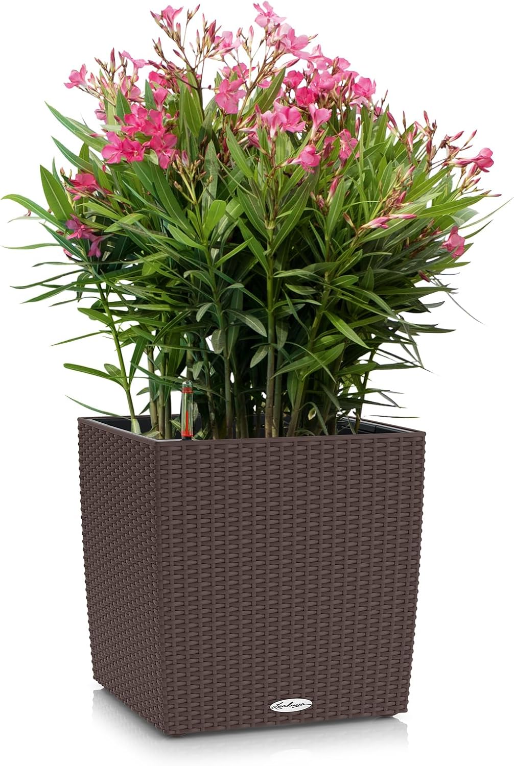 Lechuza Cube Cottage 40 Mocha, Self-Watering Square Planter, H15.7 L15.4 W15.4 in