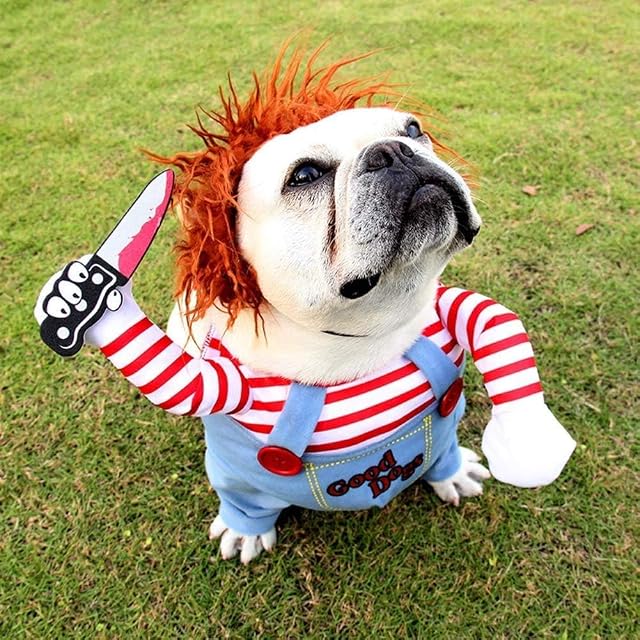 Disfraces para Perros, Mascotas, Disfraces para Perros, Halloween, Navidad, Fiestas, Juegos de rol