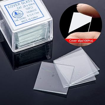 HANTANSE 50 Pieces Microscope Slides and 100pcs Pre-Cleaned 20mm x 20mm Microscope Slips Glasses Cover for Basic Biological Science Education