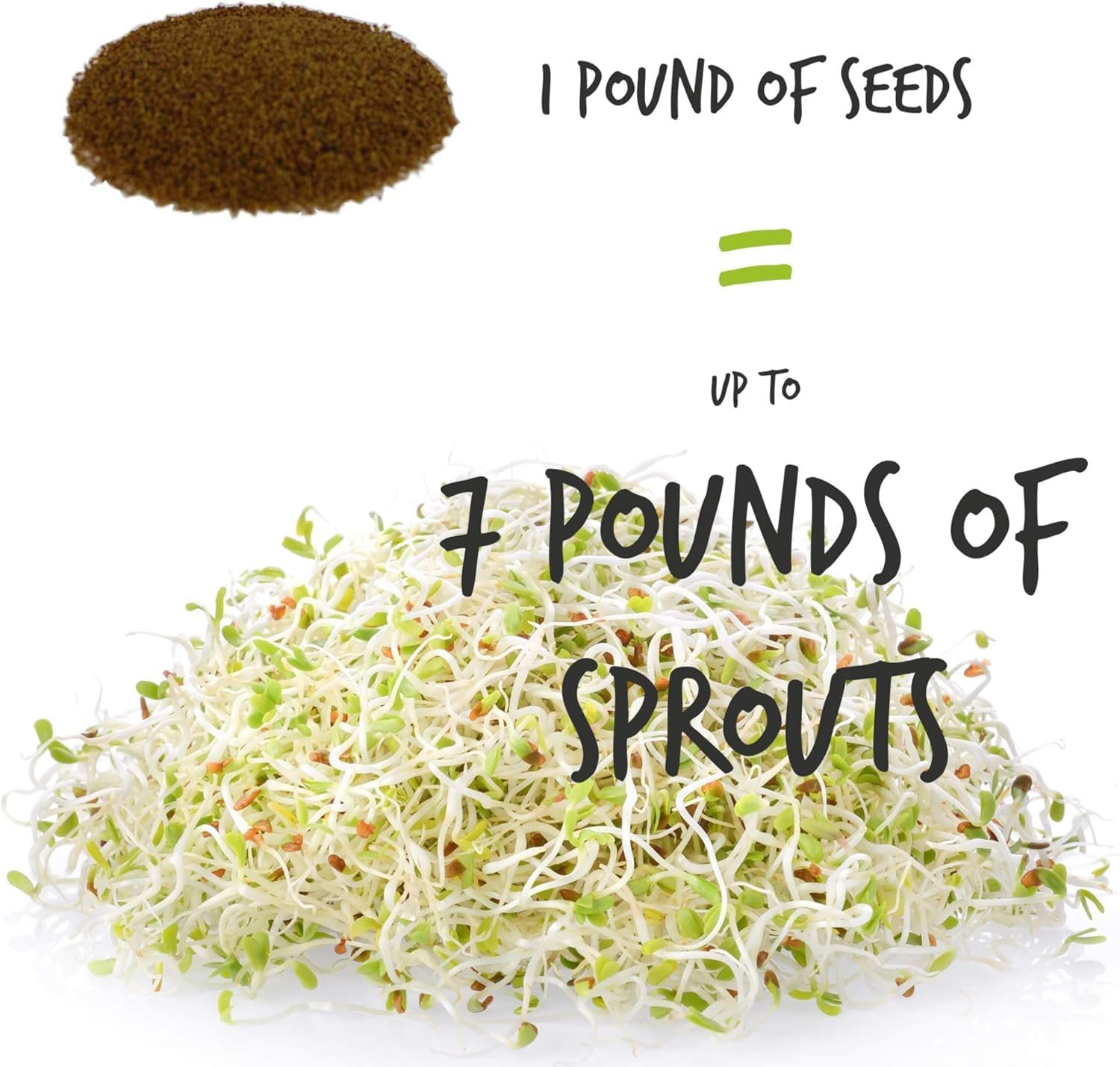 Handy Pantry Organiczne nasiona ptaków - 2,3 kg - mieszanka nasion kiełkujących ptaków dla małych, średnich i dużych ptaków - karma dla ptaków śpiewających, papug, papug itp