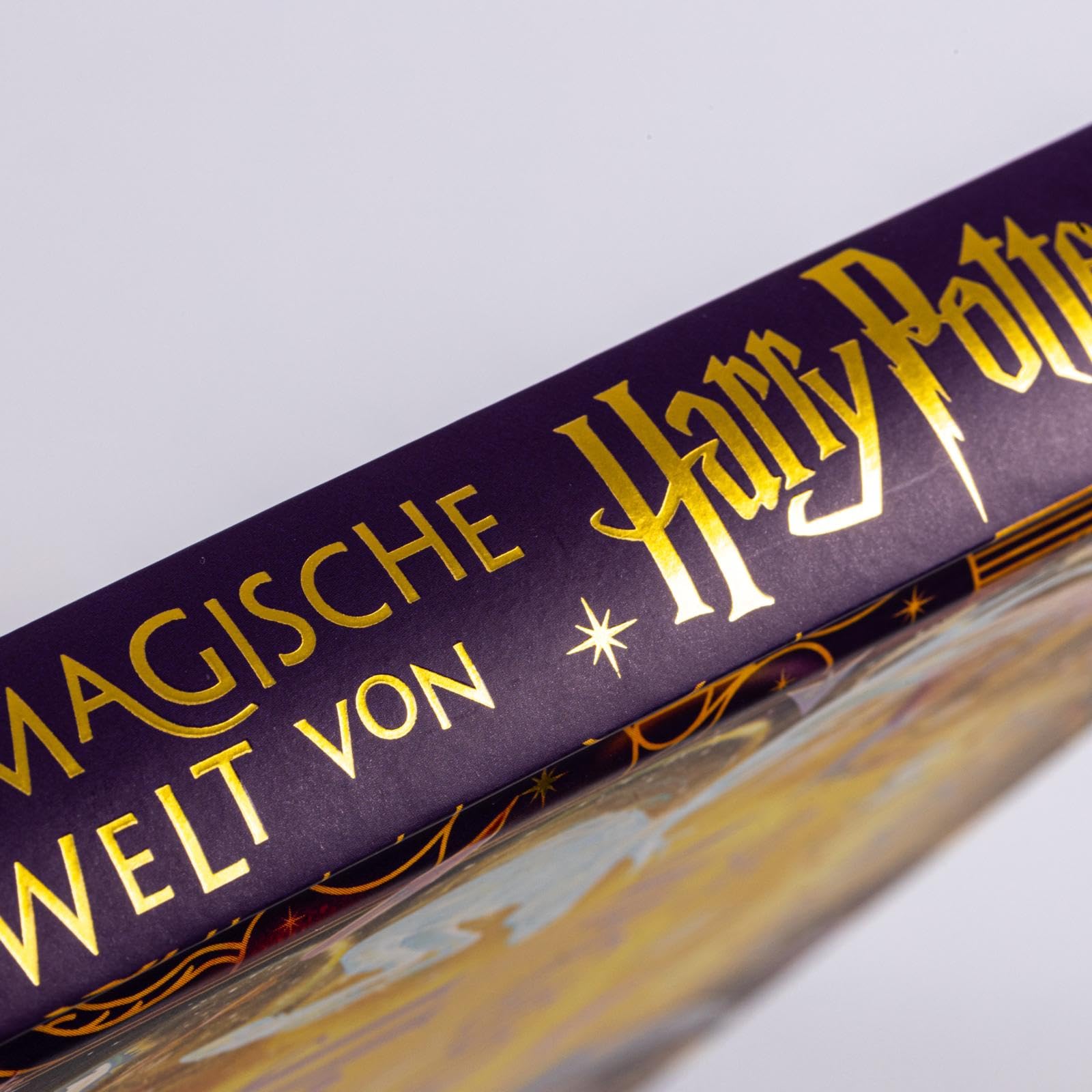 Die magische Welt von Harry Potter: Das offizielle Handbuch: Prächtig illustriert von sieben Künstler*innen und voller überraschender Details | Hochwertiges Geschenkbuch nicht nur für Potterheads