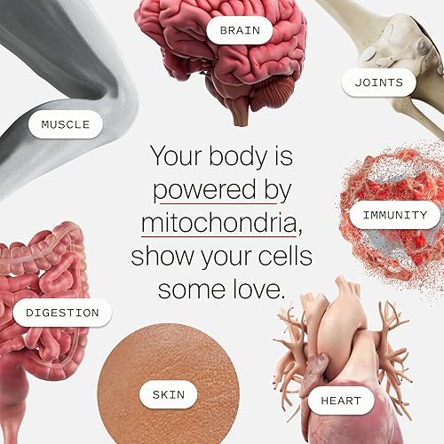 Miniatura 6 de Timeline Mitopure Urolitina A Suplemento en polvo 500 mg - Soporte clínicamente probado para un envejecimiento saludable y renovación celular -