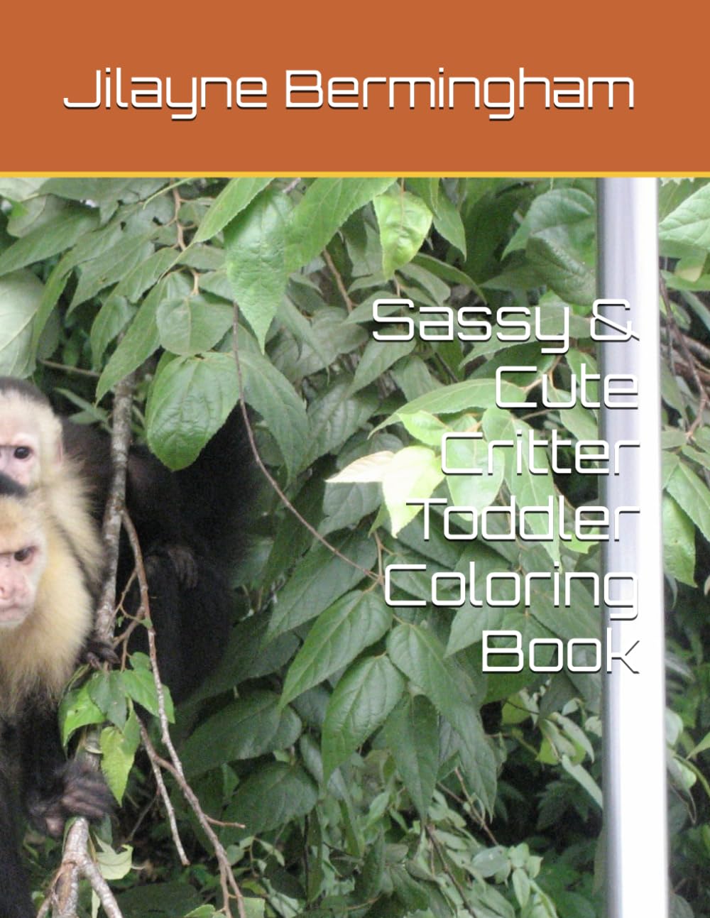 Sassy & Cute Critter Toddler Coloring Book