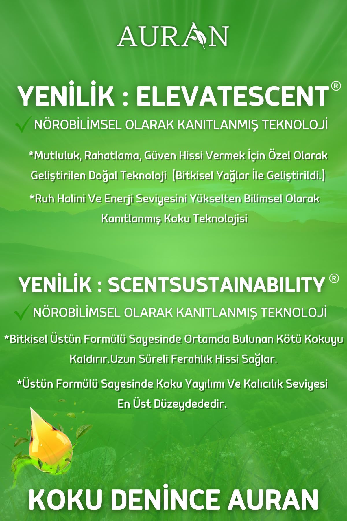 AURAN Nane Esansiyel Uçucu Koku Yağı Difüzör Esansı Buhurdanlık Yağı Aromaterapi Yağı 10ml