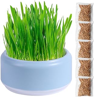 Cat Grass Planter for Indoor Cats Organic Cat Grass Growing Pot with Organic Seed Grass Planter,Tray Catnip Cat Grass Box Soil Free Cat Plant Planting Box Nursery Cat Plant