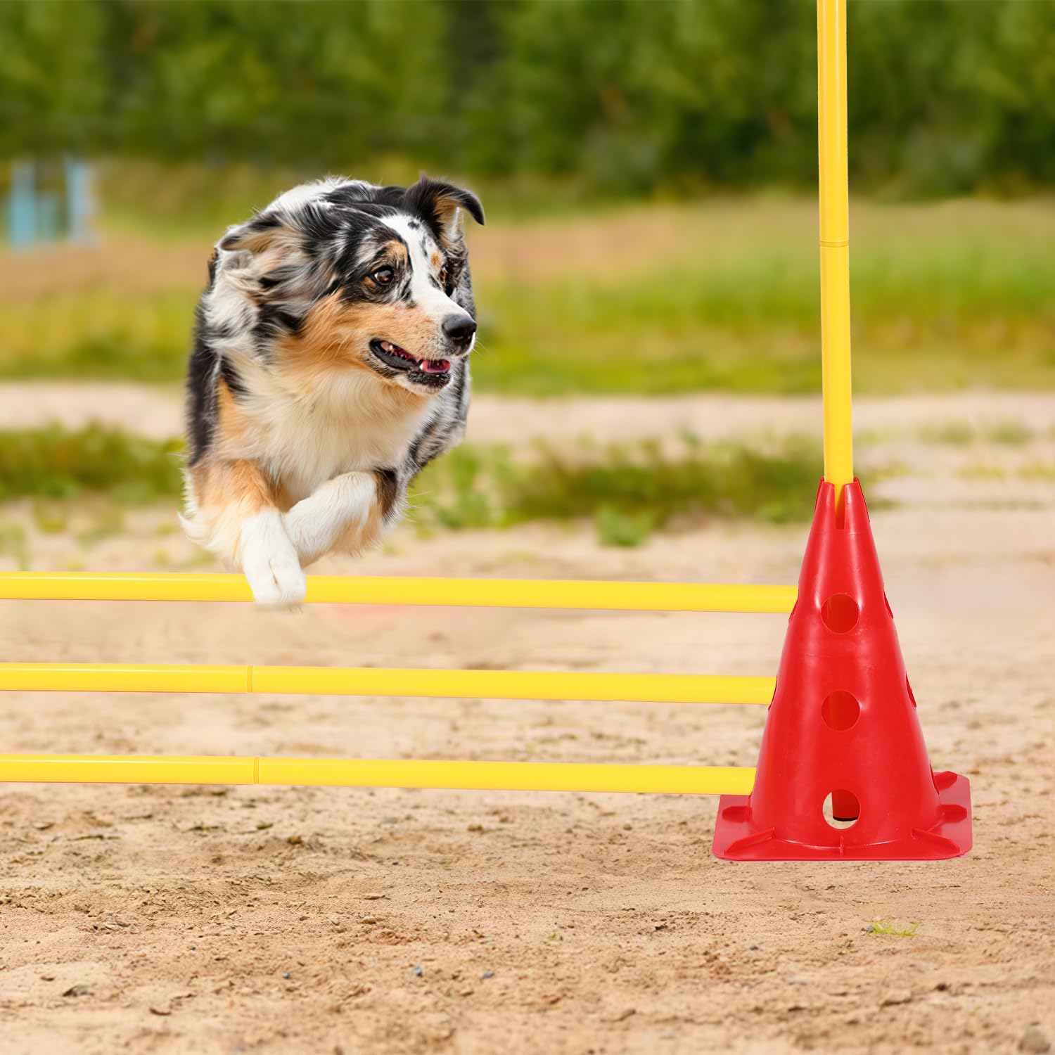 Lot de 12 cônes avec 6 barres, obstacles d'agilité, entraînement de coordination pour enfants, chiens, sports d'équipe, football, cônes multifonctions, pour les sports canins