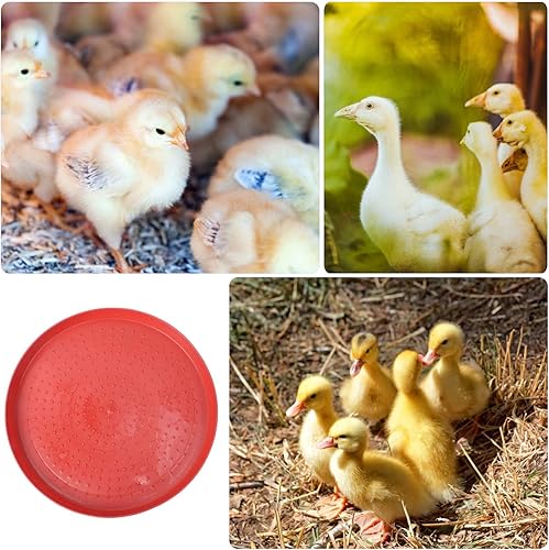 Miniatura 4 de Happyyami Alimentador de aves de corral Bandeja de alimentación de alimentos Bebedor de agua Placas de alimentación Contenedor para Pollo Ganso