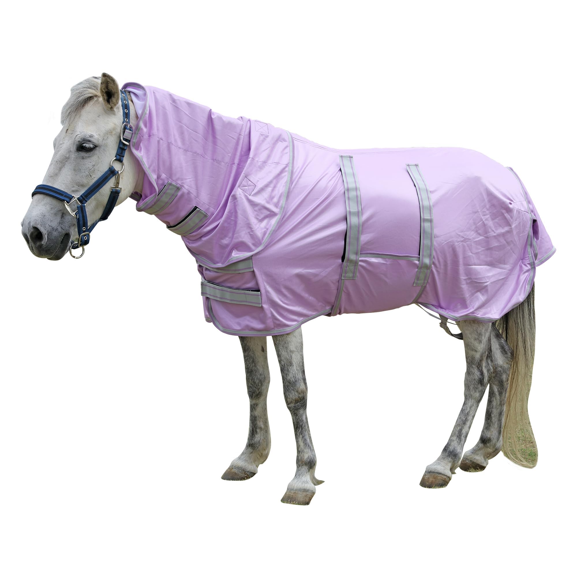 Leberna Miniature Fly Rug Combo for Shetland Pony, Donkey, Section A and Miniature Horse, Insects Flies Bug Protection (Purple, 3' 2")