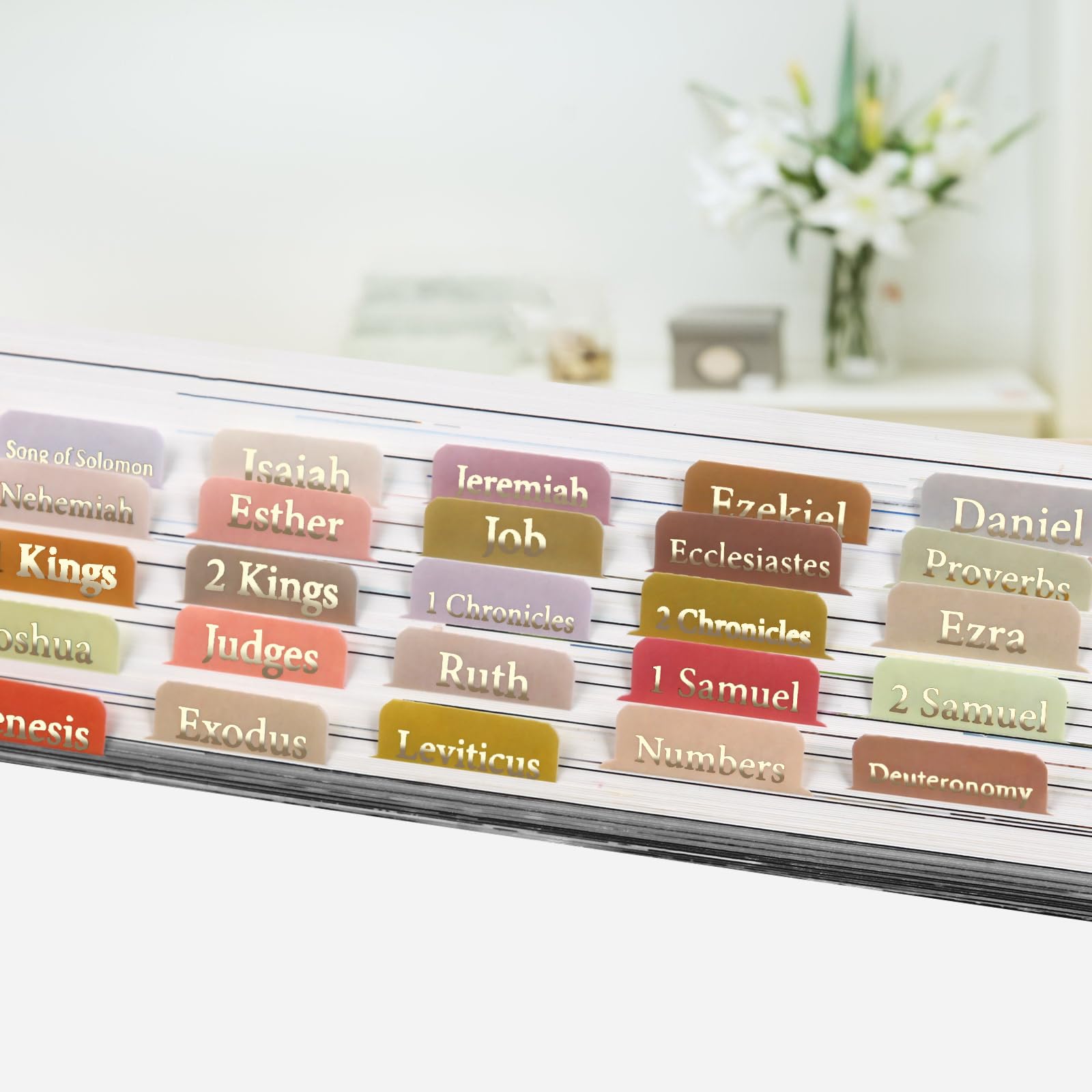 Bible Tabs for New Testament, Large Font, Laninated Intex Tabs