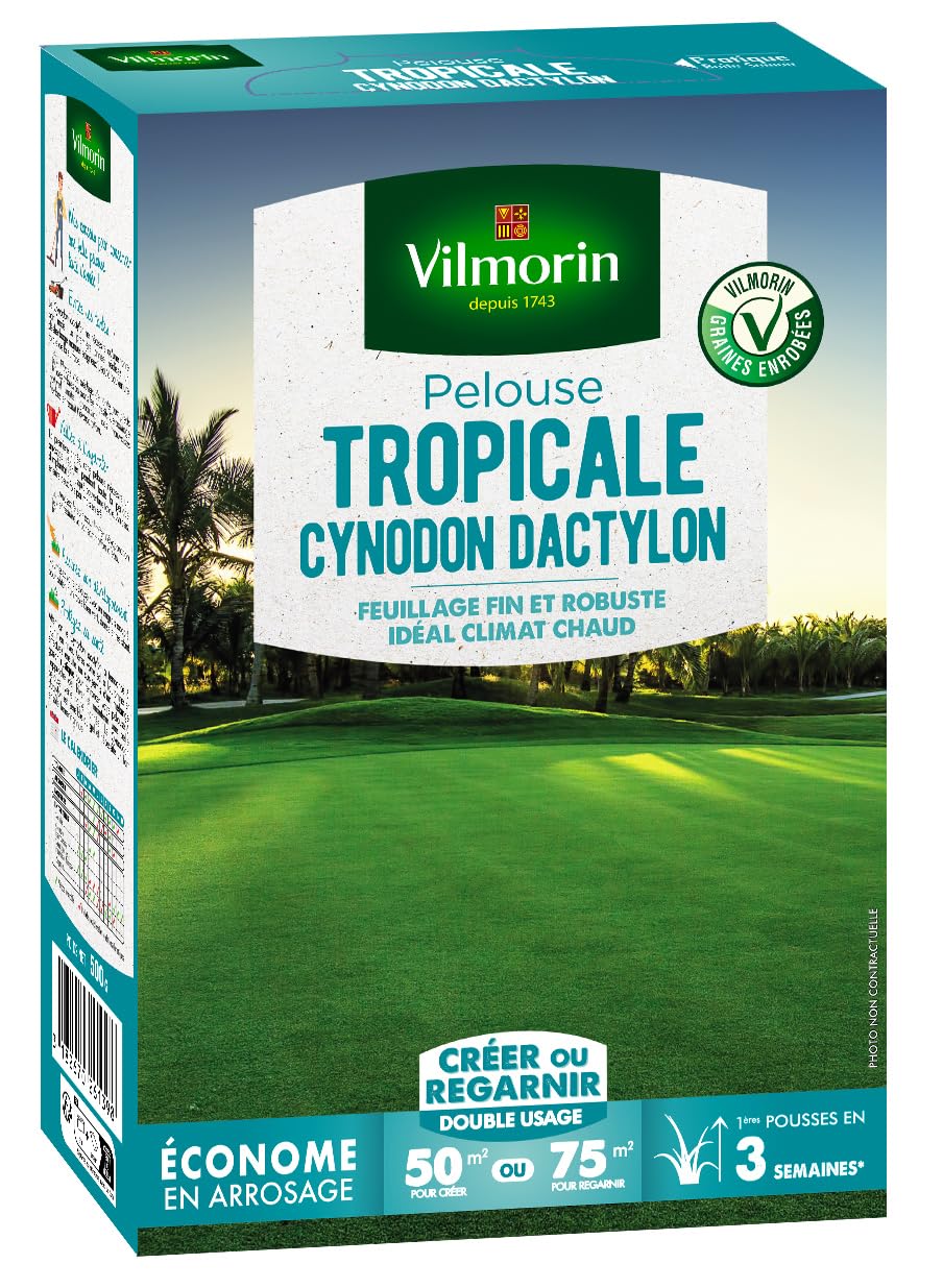 Cynodon Dactylon Vilmorin pelouse tropicale anti sécheresse 500g