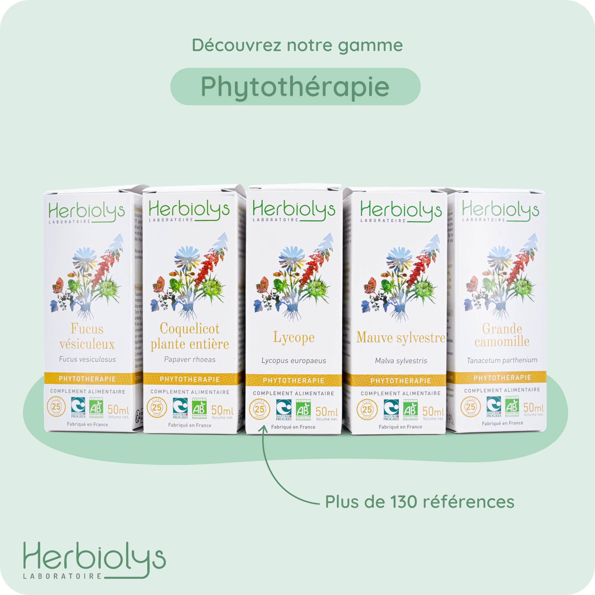 Herbiolys | Extrait De Plantes Fraches Bio | Rglisse (Glycyrrhiza glabra)  | Digestion & Respiration | Phytothrapie Bio | 50 ml : Amazon.fr: Hygine  et Sant