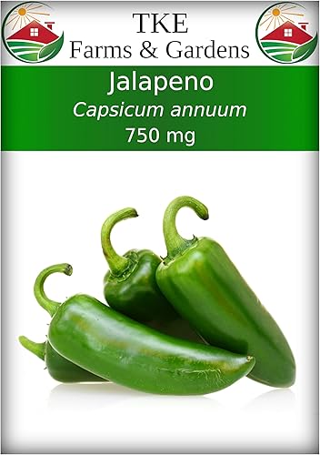 TKE Farms & Gardens - Semillas de jalapeño para plantar, 0.14 oz, más de 100 semillas de reliquia, sin OMG, instrucciones incluidas, Capsicum