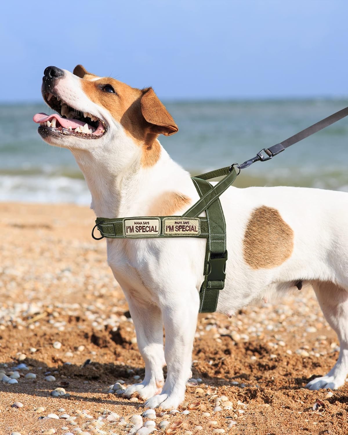 Arnés para perros sin tirón para perros pequeños y medianos, reflectante, a prueba de fugas, ajustable sin tirón, arnés para perros de camuflaje color verde, L