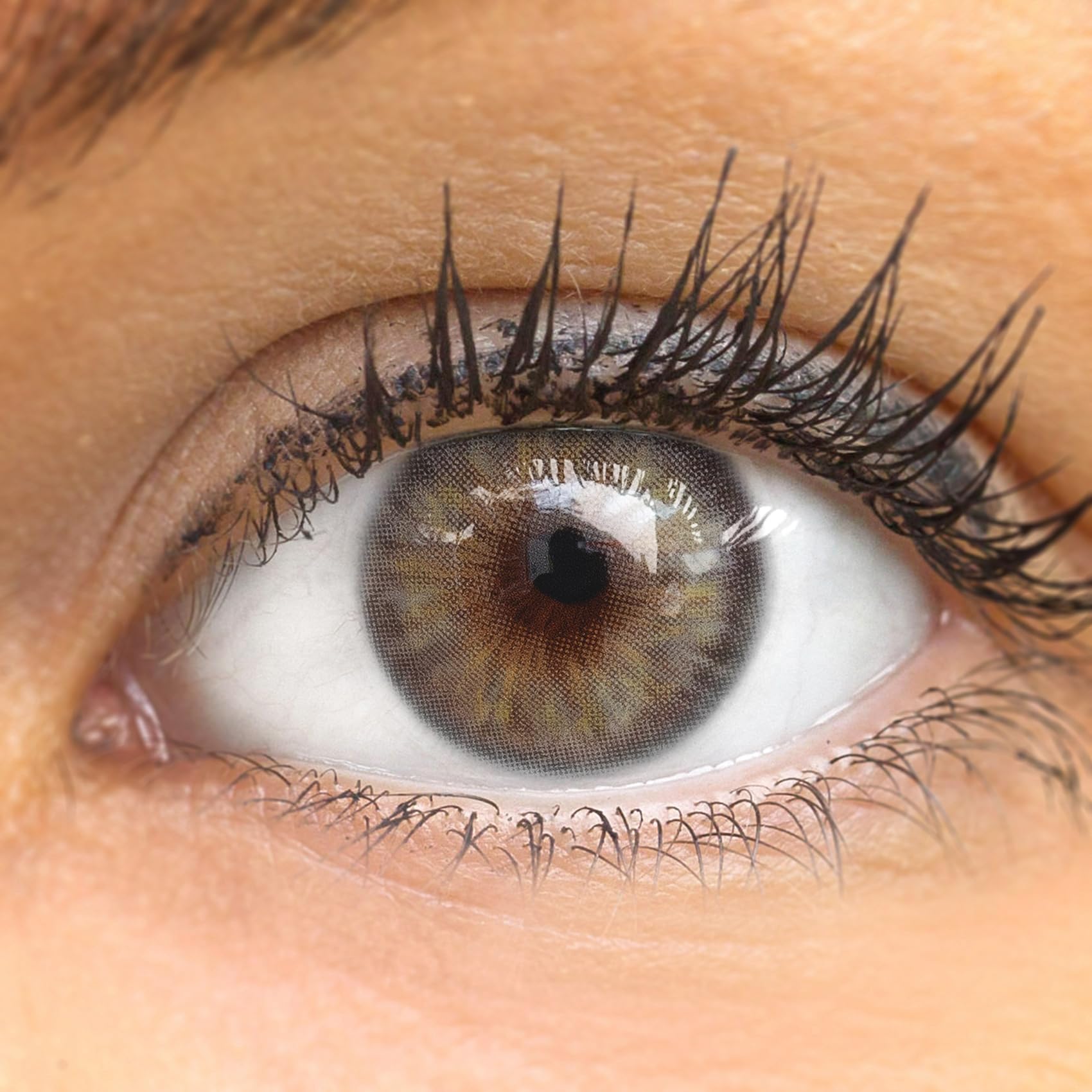 GLAMLENS lentilles de couleur grigie naturelles colorées très haute opacité (Avila Gray) + étuis à lentilles de contact 1 paire (2 pièces) 90 Jours sans correction 0,00 Dioptries