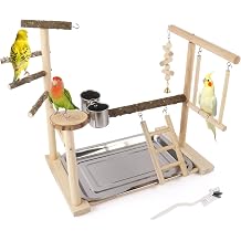 Small Bird Playground Parakeet, Natural Wood Bird Play Stand Toys Perch with Removable Tray, Ladder for Cockatiel Conure Parakeet Lovebirds
