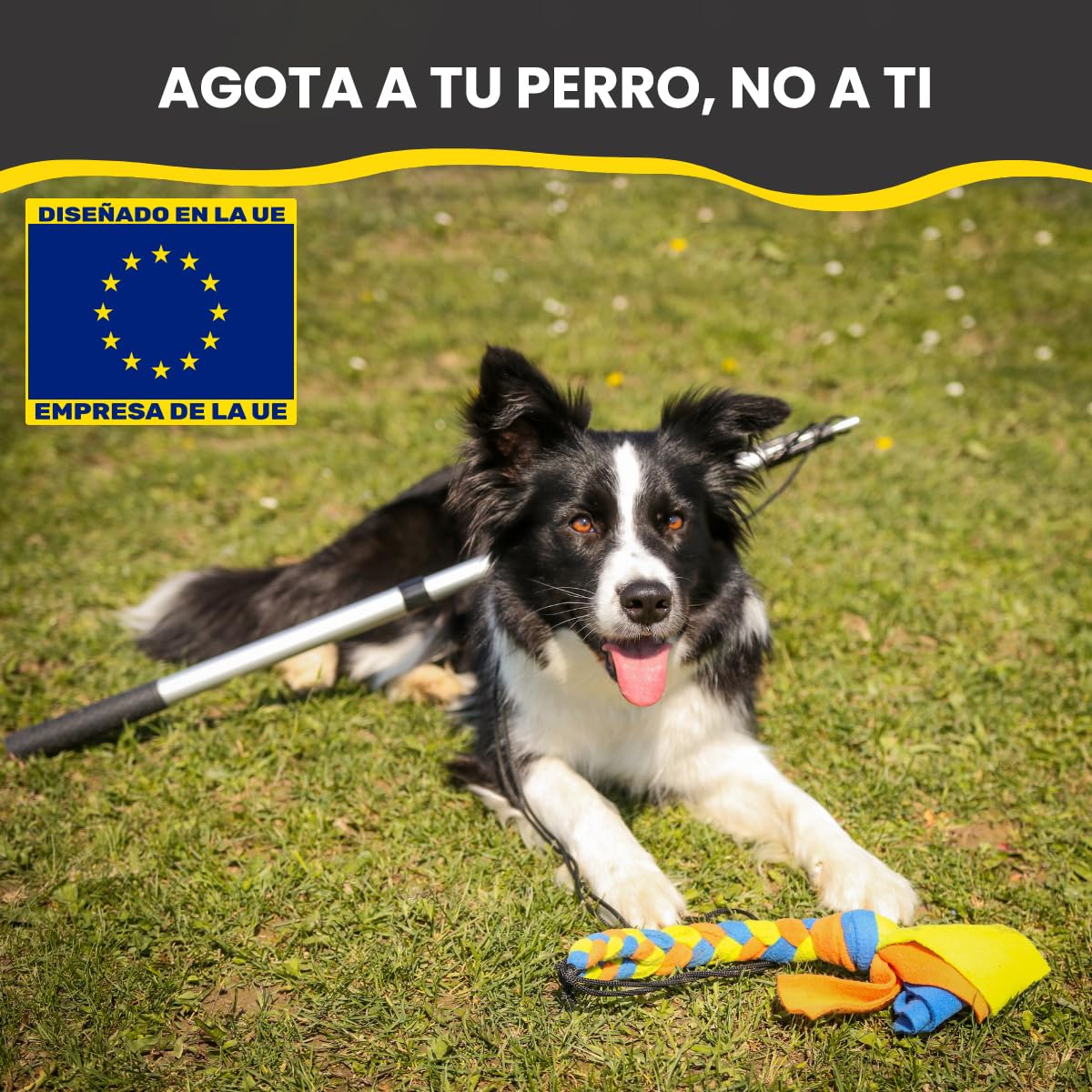 Poste de coqueteo para Perros con cordón no elástico Seguro y Fuerte, señuelo telescópico para Perros de Cualquier tamaño, Juguete para Perros para Entrenamiento y Ejercicio de Yes4Quality