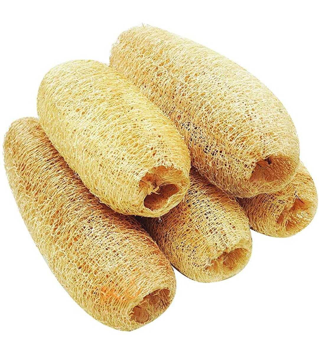 HERBAL Bath Scrub/Natural Loofah (Pack of 10)-image-20