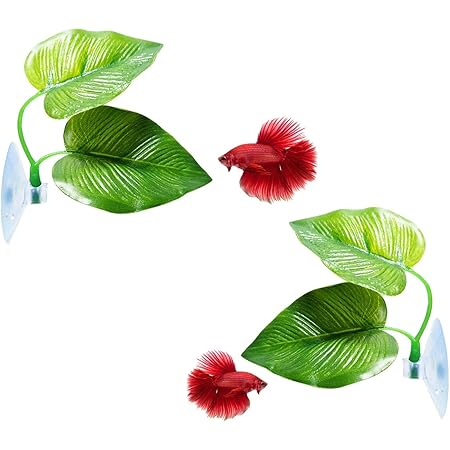 Cousduobe Betta Fish Leaf Pad - Improves Betta's Health by Simulating The Natural Habitat（ Double Leaf Design, one Big and one Small ）
