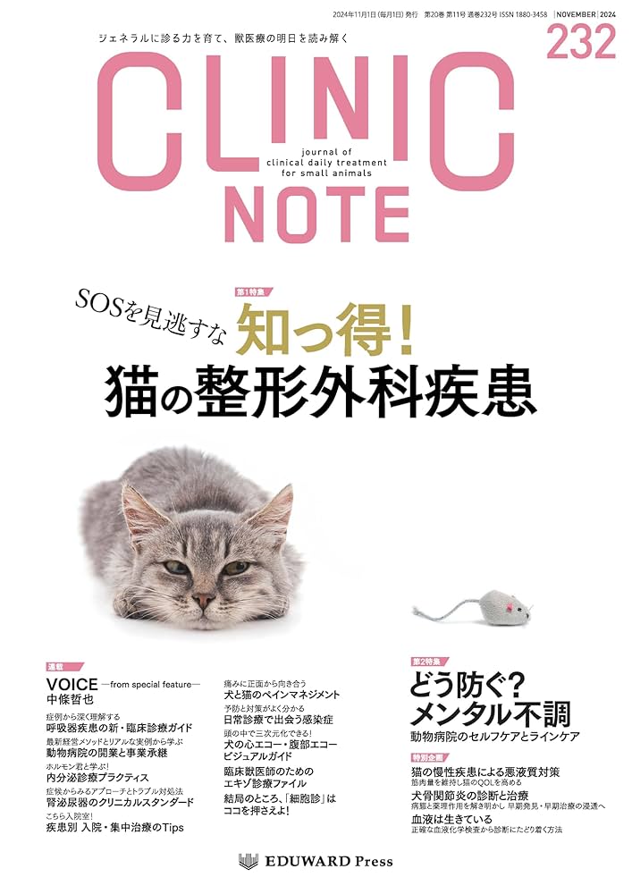 【裁断済み】クリニックノート CLINIC NOTE No.173 - 180 裁断済み】クリニックノート CLINIC NOTE No.173 - 180 本