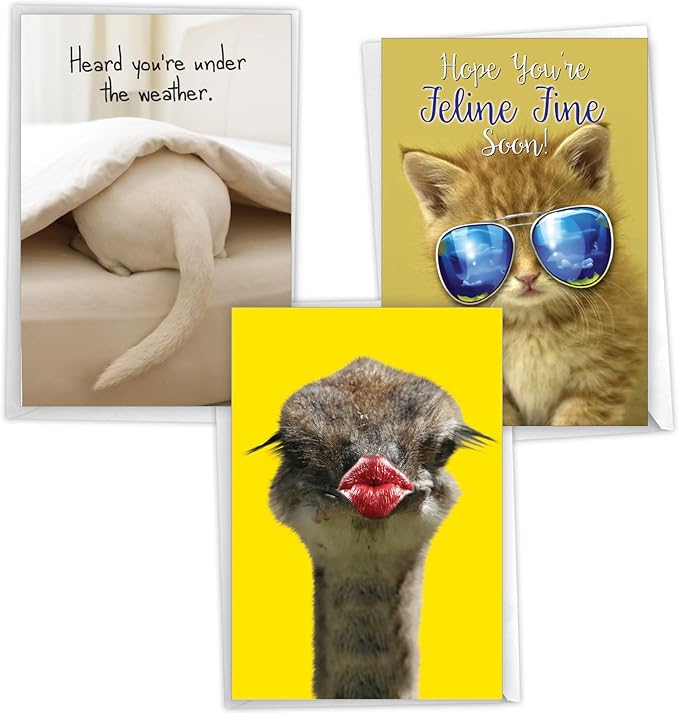 NobleWorks Assortment Pack Of 3 Funny Birthday Mother...