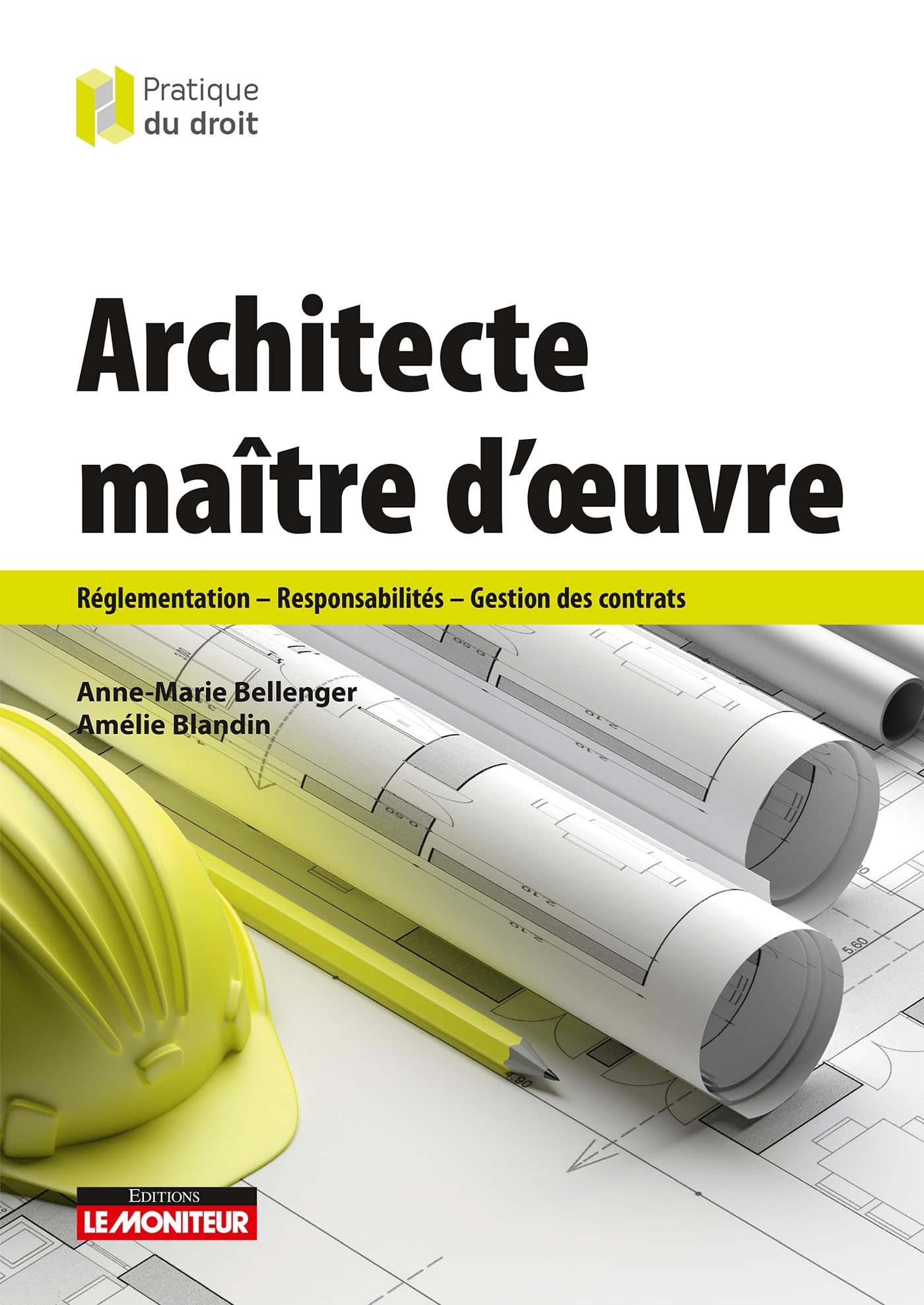 Architecte maître d'oeuvre: Réglementation - Responsabilités - Gestion des contrats