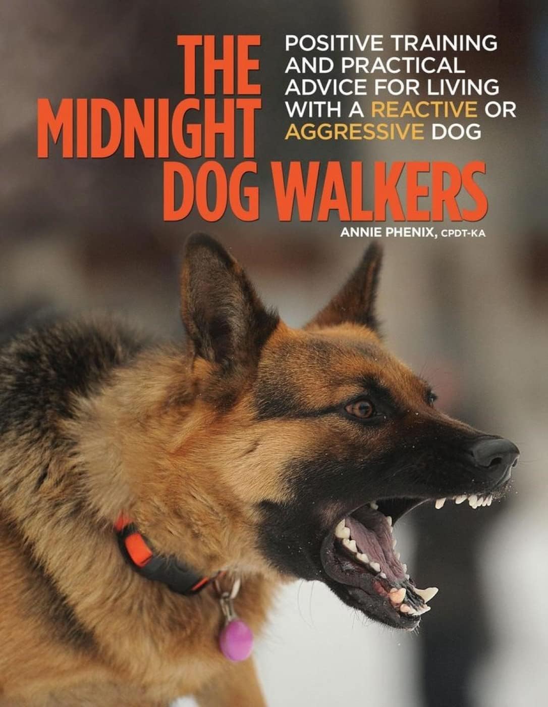 The Midnight Dog Walkers: Positive Training and Practical Advice for Living with Reactive and Aggressive Dogs (CompanionHouse Books) Help Your Dog Recover from Fear and Anxiety, and Enjoy Walks Calmly Paperback – April 19, 2016