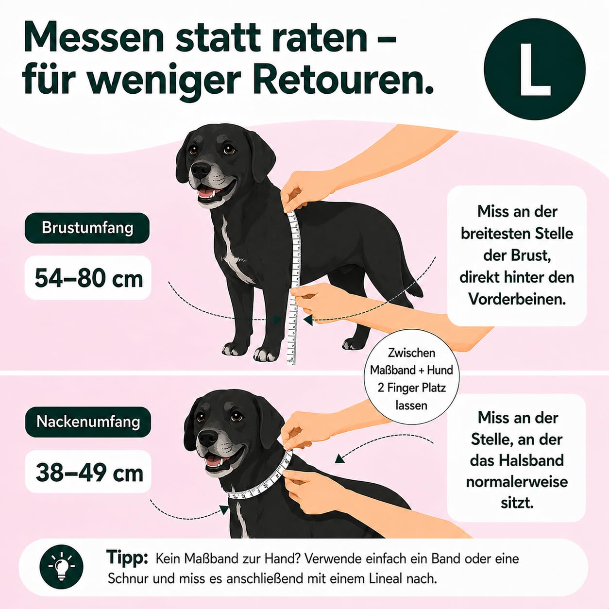 MAGGIE & COOPER Set di guinzagli per cani – Design Leo – 5 pezzi: collare, pettorina, guinzaglio, fiocco, dispenser di sacchetti – 4 misure – confezione regalo (L)