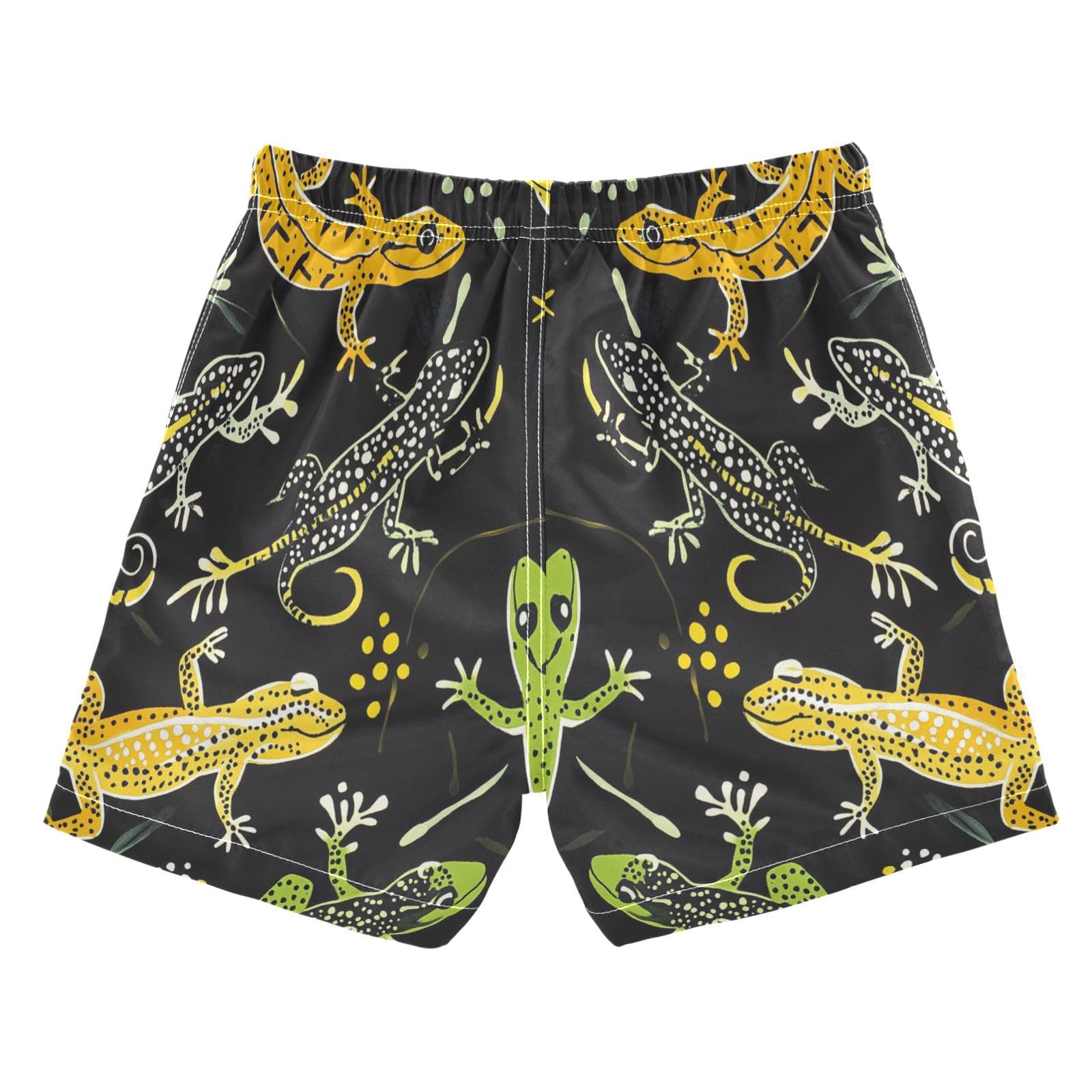 Jucciaco Boys Beach Board Shorts Lizard Cool Star Black Quick Dry Swim Trunk Swimwear for Kids