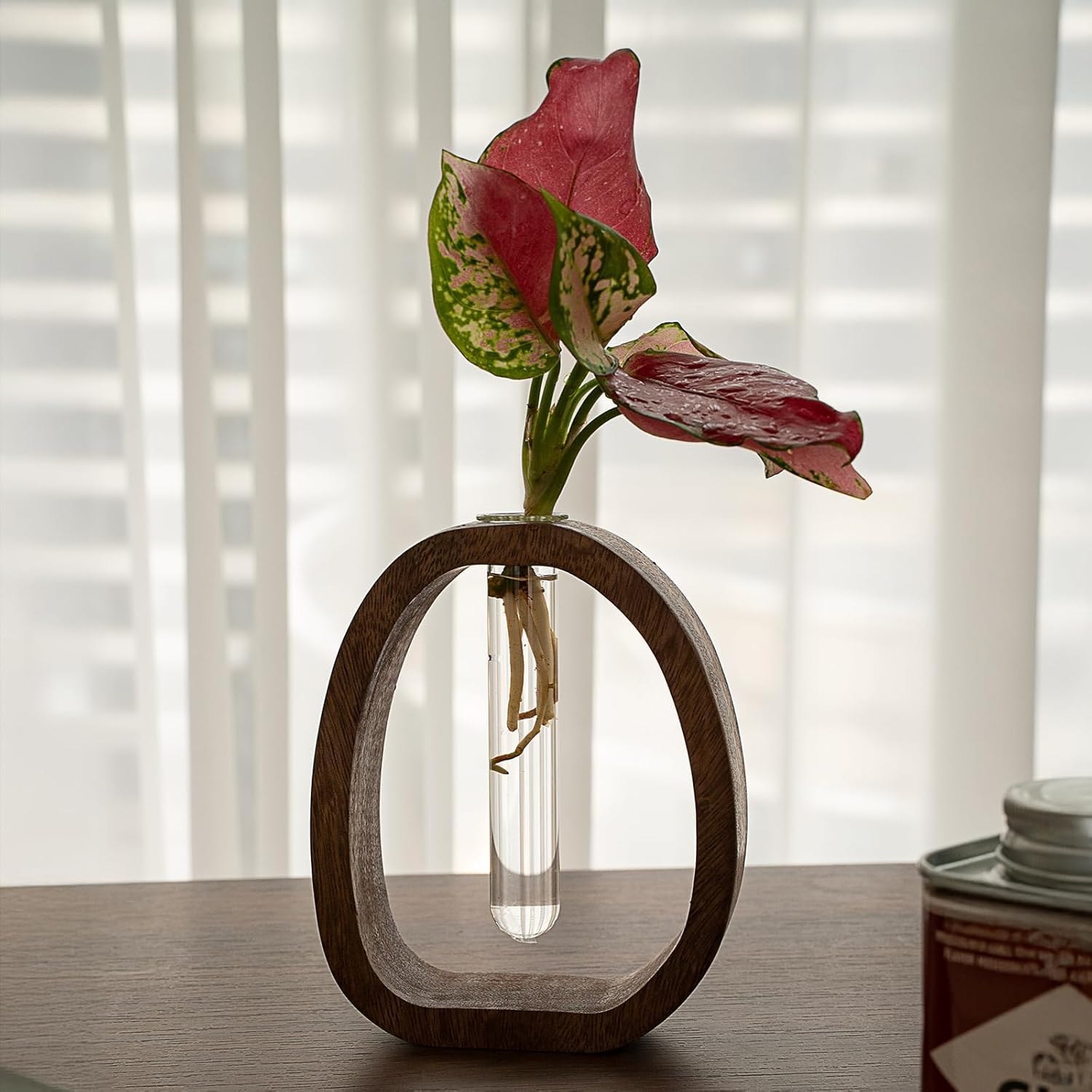 Modern Wooden Glass Test Tube Vase - Desk Plant Decor, Suitable for Home and Office Use - Image 2