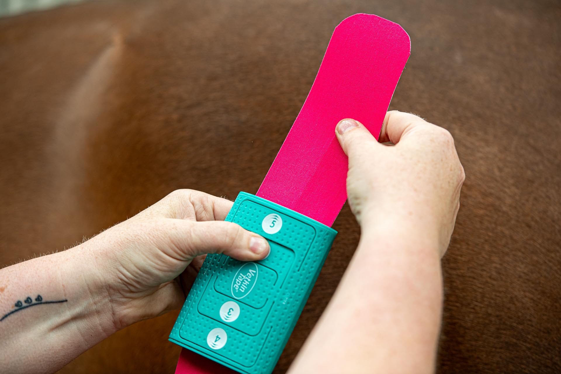 Vetkin Tape - Cortador de cinta de kinesiología de 6 cm | Cortadora de fisioterapia animal y cinta linfática | Corta 2 – 5 tiras | Compacto y preciso | Accesorios para terapeutas