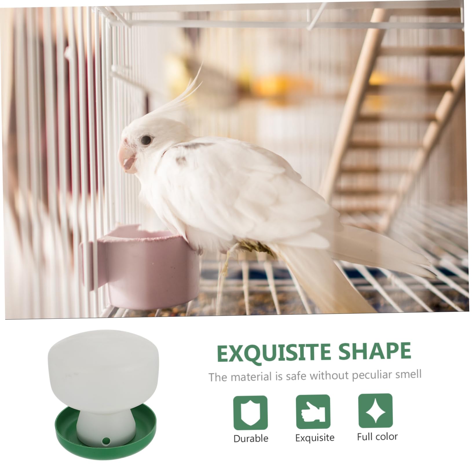 BESPORTBLE 6pezzi Dispenser Automatico Per Uccelli Bottiglia Per Pappagalli e Uccelli Domestici Alimentatore Pratico Plastica Resistente