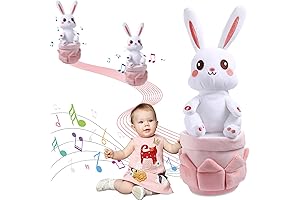 Miaodam Talking Rabbit MIM