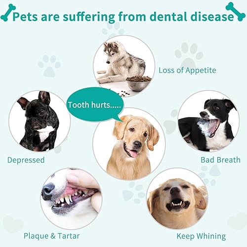 Miniatura 2 de Cepillo de dientes para perros para mascotas kit de cepillado de dientes de cachorro - Cepillo de dedos de limpieza dental para gatos y perritos