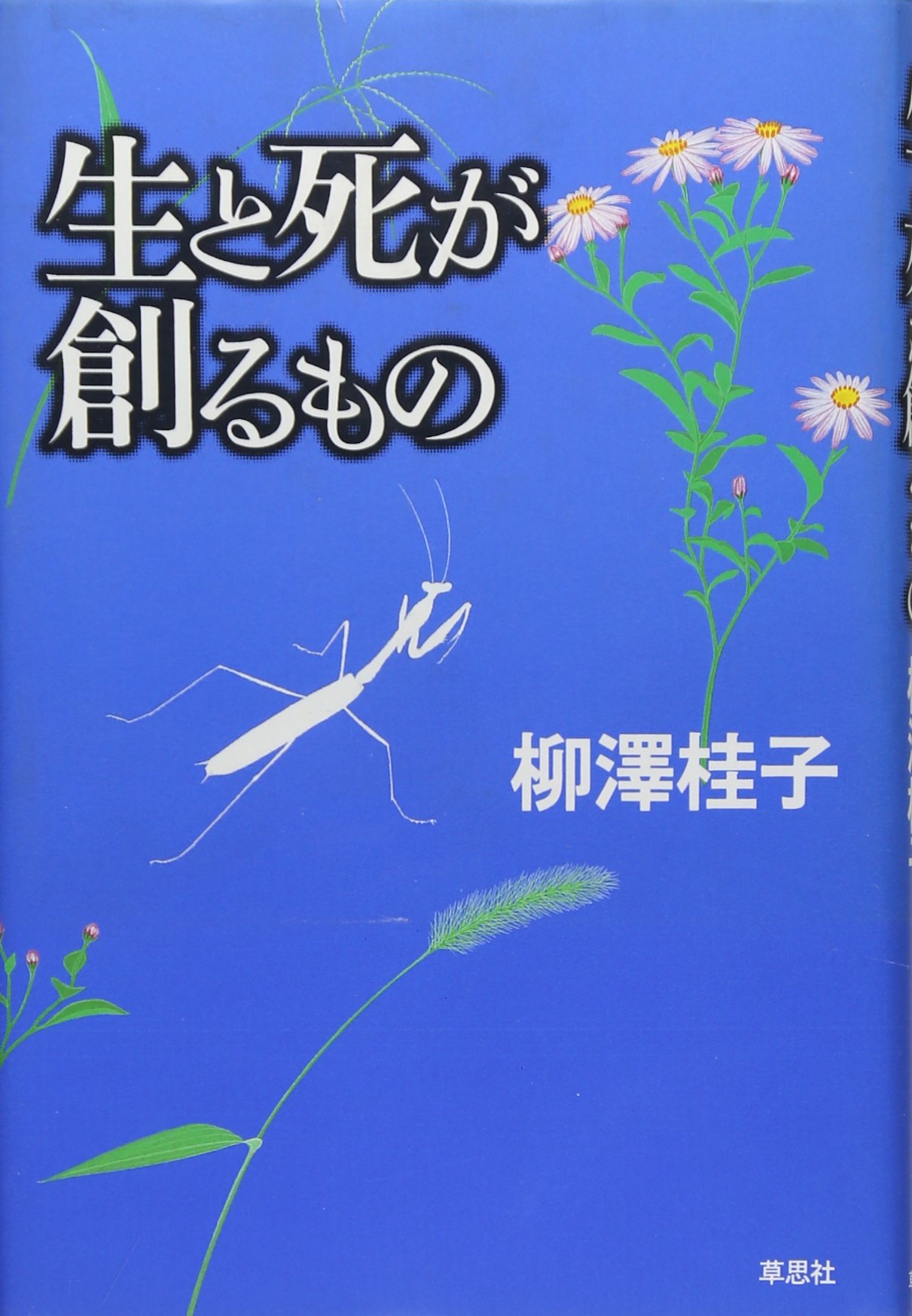 生と死が創るもの