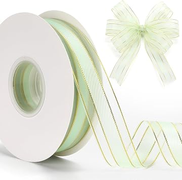 Light Green Sheer Ribbon 1 Inch Pale Turquoise Organza Tulle Ribbon for Crafts 50 Yards Spring Sheer Ribbons for Gift Wrapping Sewing Flower Bouquet Hair Bows Making Wedding Party Decoration