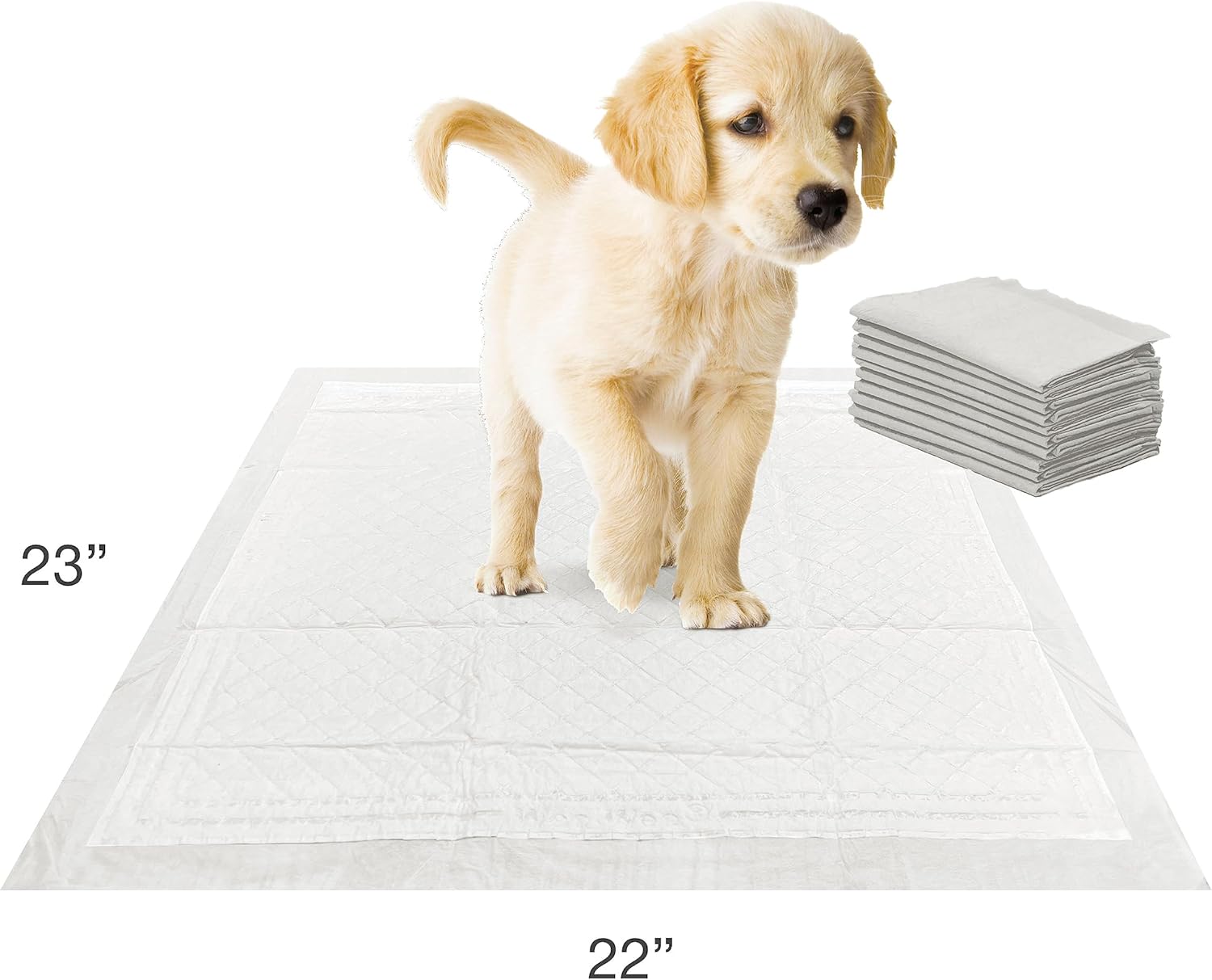Four Paws Wee-Wee Super Absorbent Unscented Pee Pads for Dogs & Puppies with Insta-Rise Border, Leak-Proof Dog Housebreaking Potty Training Floor Protection, 22" x 23", 10 Count (Pack of 3)