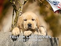 Vista 98 de Razas de Perros 2017