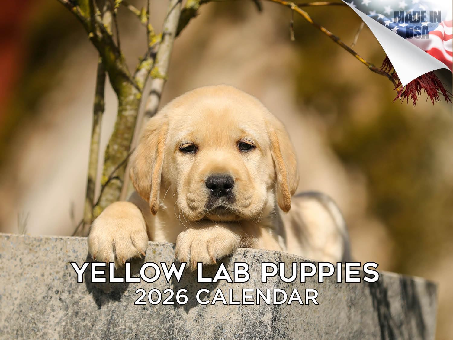 Calendario 2024 2025 de cachorros de labrador amarillo, calendario mensual de pared de raza de perro, 12 x 18 pulgadas, abierto, papel grueso que no se corre, regalo, planificador académico para