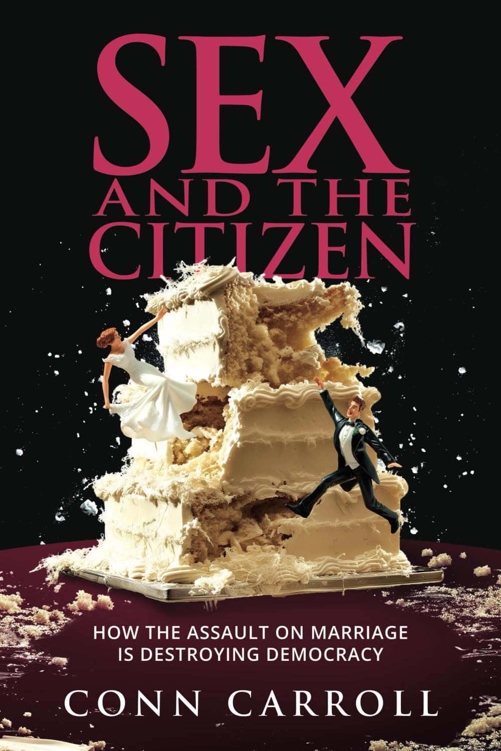 Sex and the Citizen: How the Assault on Marriage Is Destroying Democracy