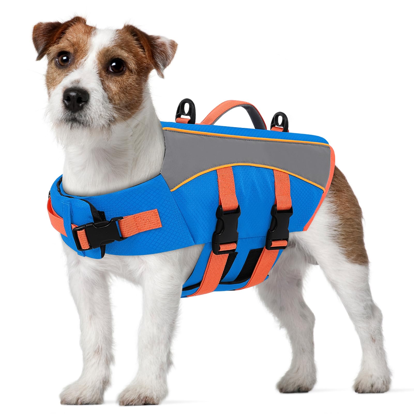 CITÉTOILE Giubbotto Salvagente per Cani - Giacca Galleggiante Riflettente con Maniglia, Galleggianti e Cinture Regolabili per Sicurezza in Acqua, Piscina, Blu, S
