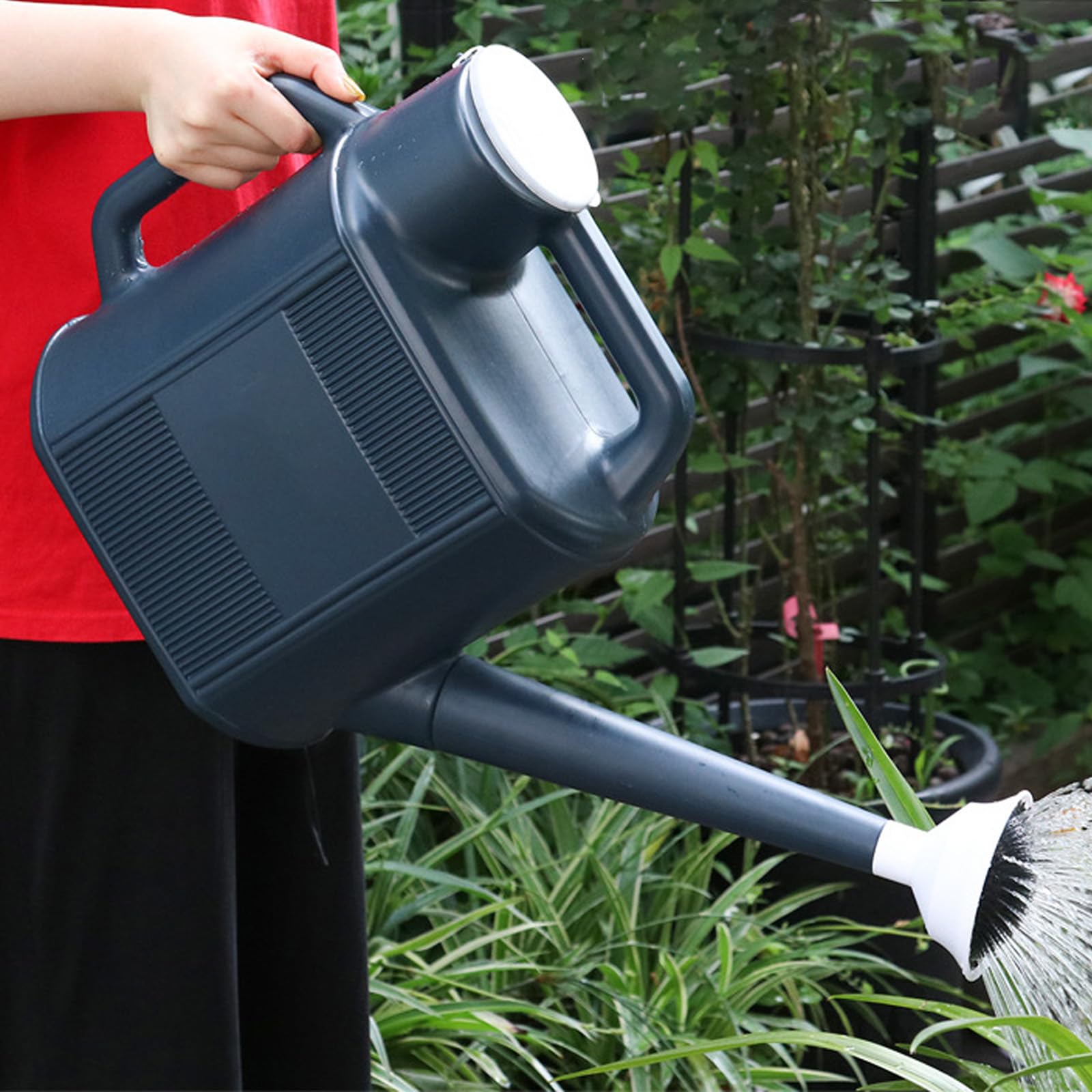 Arrosoir à long bec avec buse de douche amovible 10 L pour l'entretien des plantes d'intérieur et d'extérieur